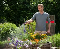 Ich möchte in meinem zimmer, vergissmeinnicht pflanzen (also für mein fenster.) leider habe ich pech mit blumen und wollte wissen wann ich sie am besten (samen) pflanzen soll, wie oft und wie viel ich gießen soll und ob sie viel licht brauchen. Gartenbewasserung Per App Diy Academy