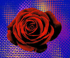 We did not find results for: Red Rose And Blue Love Pop Art Flower Floral Pop Art Serie New Media By Nywa Art Project Saatchi Art