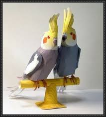 Animal Paper Model Cockatiel Free Templates Download Paper Crafts Cockatiel Paper Models