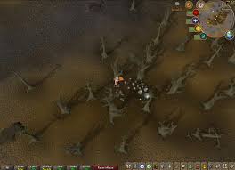 Go to windows permissions for the camera and make sure to allow apps to access your camera (for windows applications) and allow desktop apps to access your camera. Distraction And Diversion Treasure Trails Sal S Realm Of Runescape