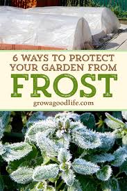 12 s to preventing garden pests naturally tenth acre farm. 6 Ways To Protect Plants From Frost