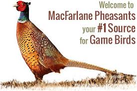 Pin On For Future Reference