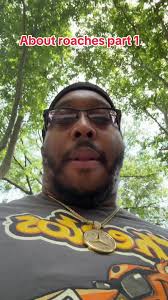 Brooklyn Exterminator Roaches