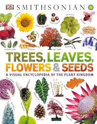 They stay plump and healthy as long as fed by the plant. Trees Leaves Flowers And Seeds A Visual Encyclopedia Of The Plant Kingdom By Sarah Jose Z Lib Org Flip Ebook Pages 151 192 Anyflip Anyflip