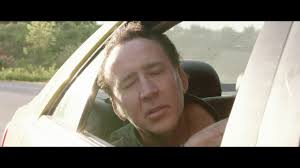 Karolina Wydra Archives