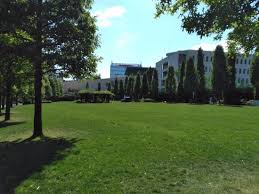 Cinema city timișoara iulius mall este al doilea cinematograf din lanțul cinema city deschis în românia, pe 30 noiembrie 2007. Park Before Iulius Mall Picture Of Iulius Mall Cluj Cluj Napoca Tripadvisor