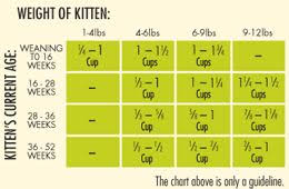 Veracious Kitten Weight And Feeding Chart Weight Chart For