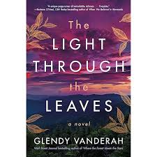 Irma a Light in the Dark: Potter Jr, Hubert Edward, Potter Jr, Hubert  Edward: 9781955302357: Amazon.com: Books