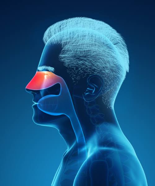 Sinus treatment consultation at Svastha ENT Clinic, Hyderabad
