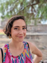 Meet the Practitioners