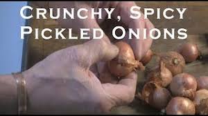 Nov 26, 2015 · place vinegar, sugar and pickling spice into a saucepan over low heat. Crunchy Spicy Pickled Onions Youtube