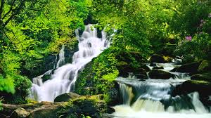 Image result for images Living Waters of Life