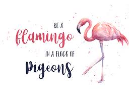 funny flamingo quotes — blog-Olechka ...