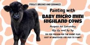 Painting with Baby Mini Highland Cows