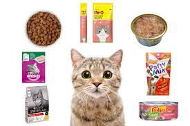 Makanan untuk kucing anggora sebenarnya tidak jauh berbeda dengan makanan kucing persia atau makanan kucing kampung. Harga Makanan Kucing Terbaru Di Indonesia Agustus 2021