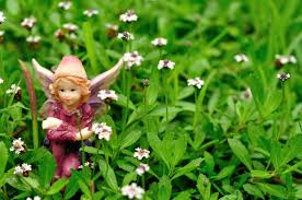 If you've got gnomes, mushrooms, critters or other details, add 'em now and you're done! How To Make Fairy Gardens Horticulture