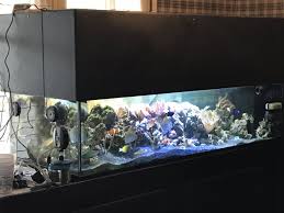2.2.1 marina led aquarium kit, 10. Build Thread Sanclementeeric S 100 Gallon Shallow Reef Reef2reef Saltwater And Reef Aquarium Forum