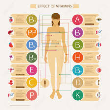 Along with the muscular system, the skeletal system enables the body to move. The Greatest Influence On The Organs And Systems Of The Human Royalty Free Cliparts Vectors And Stock Illustration Image 46456491