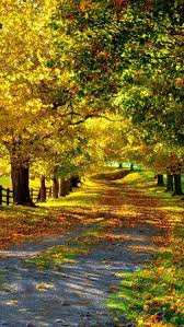 Autumn Path Mother Nature Moments Beautiful Mother Nature Autumn Scenery Nature Photography Landscape