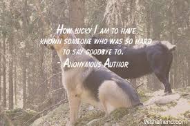 Enjoy reading and share 58 famous quotes about how lucky i am to have you with everyone. Anonymous Author Quote How Lucky I Am To Have Known Someone Who Was So Hard To Say Goodbye To