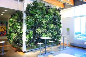 The wall gardens occupy minimum space; Indoor Living Walls Livewall Green Wall System