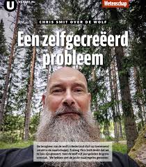 Wolf op de Utrechtse Heuvelrug