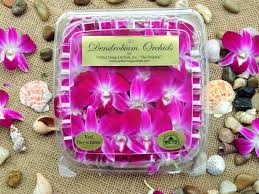 We did not find results for: Amazon Com Edible Orchids 50 Count Pack Of 4 Grocery Gourmet Food