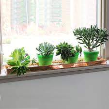 29 Inch Rectangular Metal Window Sill Plant Tray With Trim Edges Large Copper Bm195220 Windowsill Plants Window Sill Plants Plant Tray