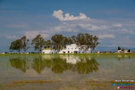 And mónnatura delta de l'ebre are worth checking out if an activity is on the agenda, while those wishing to experience our house is located in a beautiful valley, overlooking the ebro delta and the mediterranean sea. Mas Illa De Riu Casa Rural En Sant Jaume D Enveja Tarragona