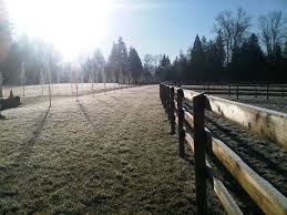 thunderbird show stables horse canada