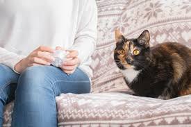 If you agree to our use of cookies, please continue to use our site. Cat Allergies Top Ten Steps For Reducing Allergies To Cats