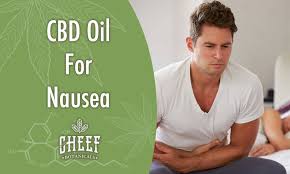 Cbd oil is highly effective in curing the vomiting and nausea by the use of therapeutic doses. 6 Unexpected Cbd Products For Nausea That Really Work