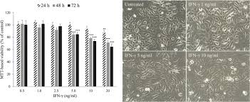 We did not find results for: Effect Of Ifn G On The Kynurenine Tryptophan Ratio In Monolayer Cultured Keratinocytes And A 3d Reconstructed Human Epidermis Model Journal Of Dermatological Science