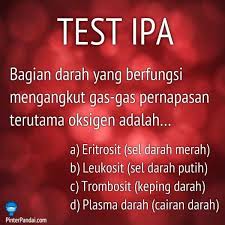 Bagian Darah Berfungsi Mengangkut Gas Pernapasan Terutama Oksigen Ipa Darah Plasma Darah