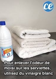 Astuce Pour Enlever Les Mauvaises Odeurs Des Serviettes De Toilettes Nettoyage De La Maison Nettoyer Maison Produit De Nettoyage Faits Maison