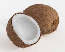 Coconut Free 3d Model In 2020 3d Model Coconut Model