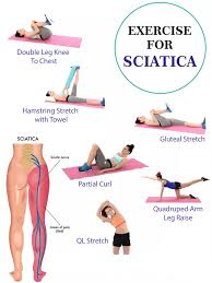 Pin On Spine Health