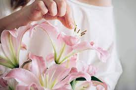For washable clothing article, place the stain face down on a sheet of paper towel and dab the back side of the stain with dry cleaning fluid. Remove Yellow Pollen Stains From Clothes And Carpet