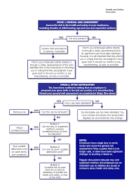 hse new and expectant mothers risk assessment action