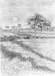 Pin On Landscape And Architecture