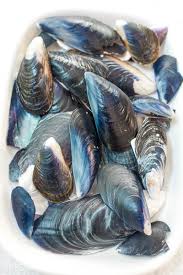 Conch shells are considered an important part of some cultures because they're used in ancient use your stomach muscles to blow the air out of your lungs through your mouth, keeping your lips close together. How To Clean Seashells After Your Beach Trip 2 Bees In A Pod