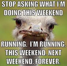 Stop Asking What I M Doing This Weekend Running I M Running This Weekend Next Weekend Forever Running Quotes Funny Running Motivation Quotes Running Quotes