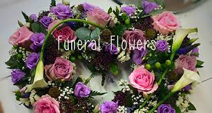 Check spelling or type a new query. Online Shop The Little Flower Shop Wirral