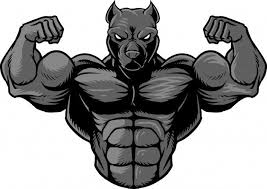Strong Pitbull 2 Pitbull Art Pitbull Drawing Gym Art