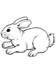 Free Printable Easy Bunny Coloring Pages Free Coloring Sheets In 2020 Bunny Coloring Pages Animal Coloring Pages Easter Bunny Colouring
