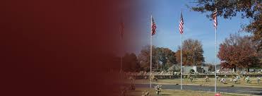 Obituary for Lisa Sue Tolbert