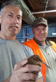 Southern island sanctuary for rare birds