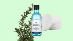 The body shop seaweed oil balancing toner review. Fustany Tried It The Body Shop Seaweed Toner Saved Me From Acne