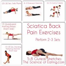Cat and camel exercise during pregnancy. Quotes About Exercise Pain 29 Quotes