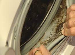 From the beginning we have had mold issues with the machine, said howard of washington crossing, pa., in a complaint to consumeraffairs about his whirlpool duet. Defense Verdict In First Whirlpool Mold Litigation Case The National Trial Lawyers